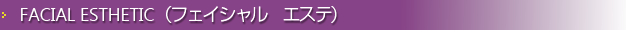 �t�F�C�V�����@�G�X�e